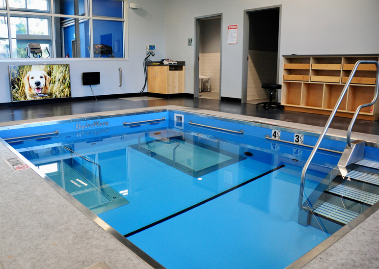 Aquatic-Physical-Therapy-01