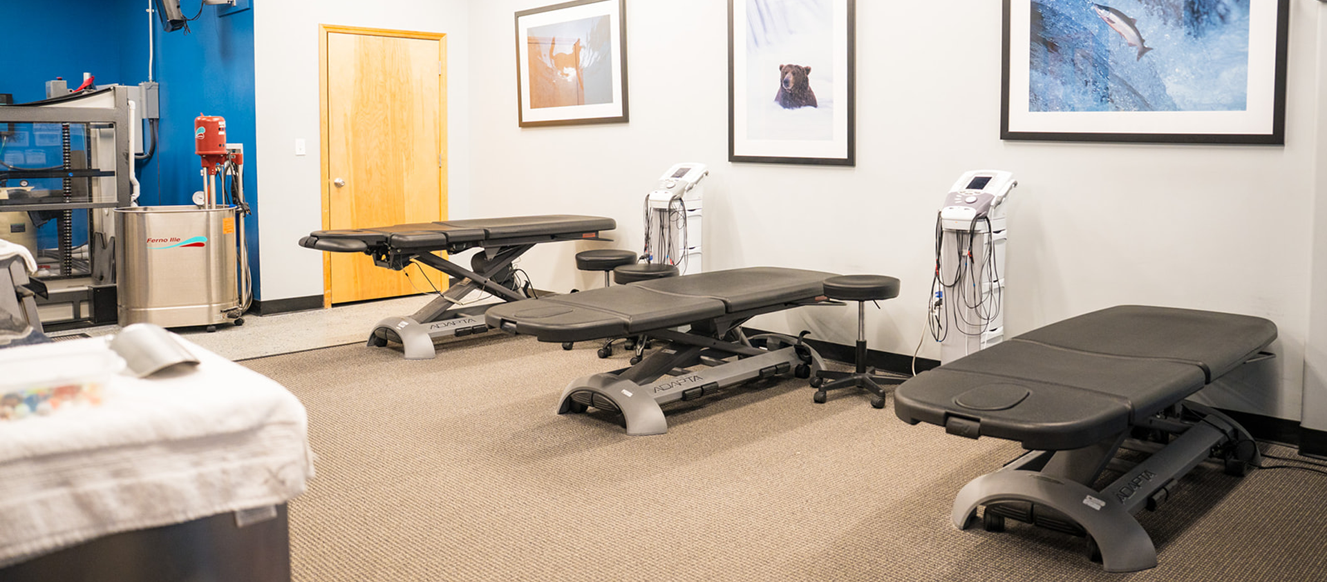 south_clinic_room_bear